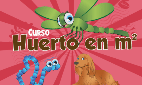 Miniatura del curso