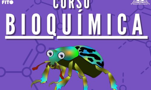 Miniatura del curso