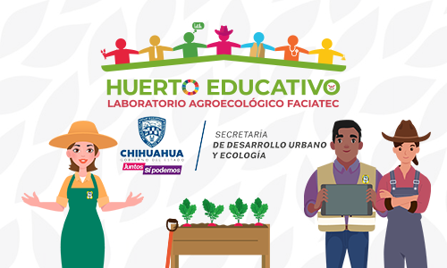 Miniatura del curso